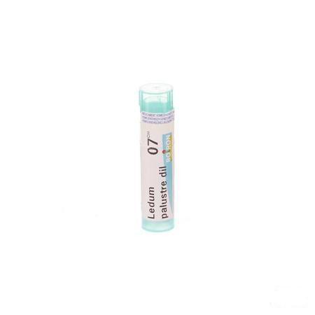 Ledum Palustre 7CH Gr 4g  -  Boiron