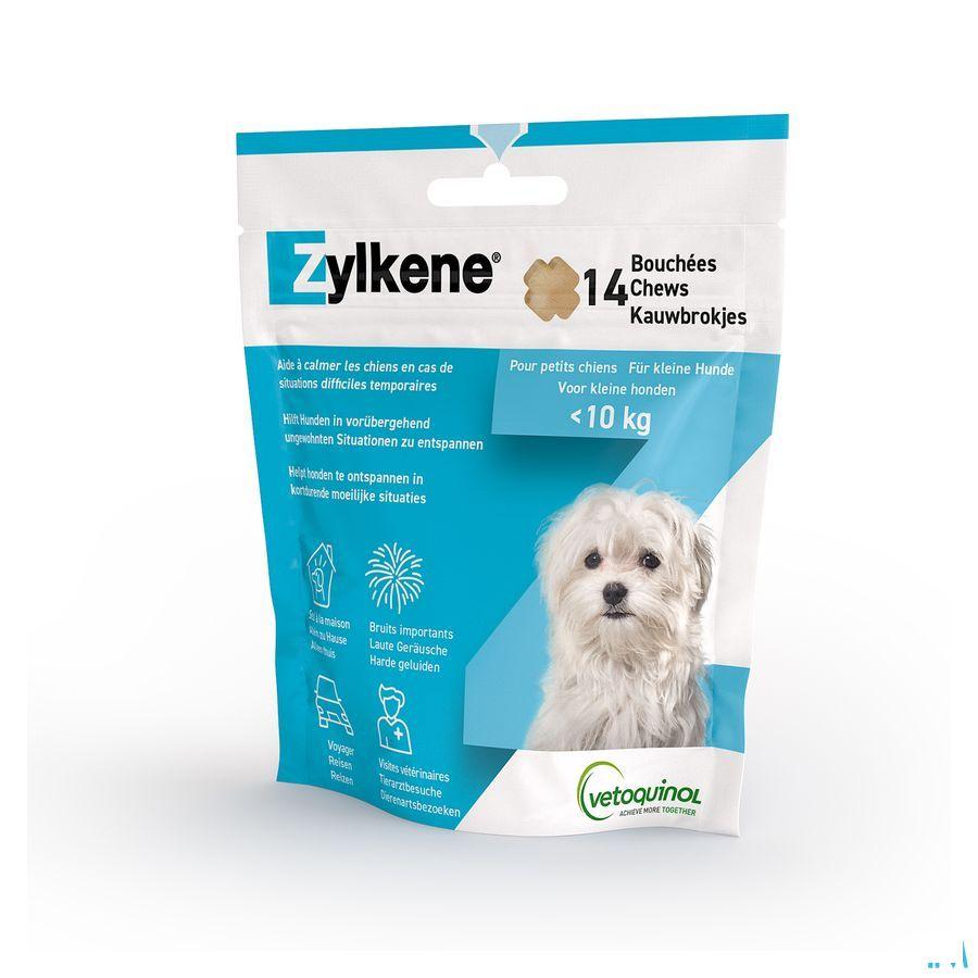 Zylkene Kleine Honden 