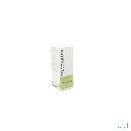 Groene Munt Essentiele Olie 10 ml  -  Pranarom