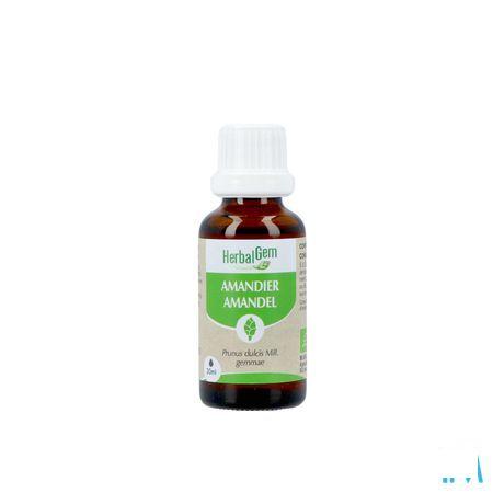 Herbalgem Amande Do Bio 30 ml