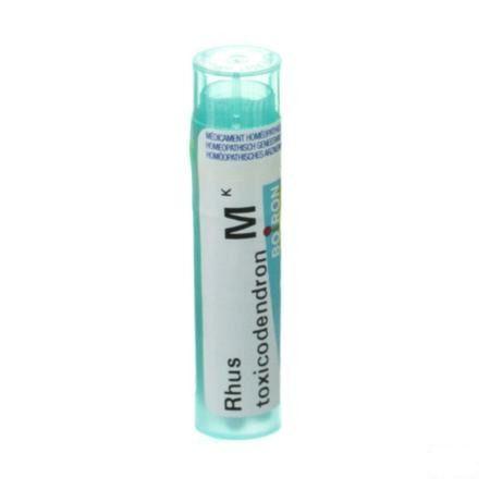 Rhus Toxicodendron MK Gr 4g  -  Boiron