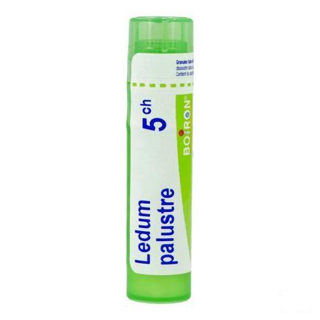 Ledum Palustre 5CH Gr 4g  -  Boiron