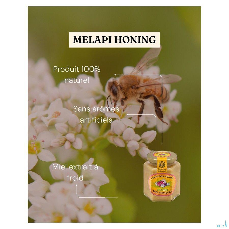 Melapi Miel Polyflora Tendre 500 gr 5531  -  Revogan