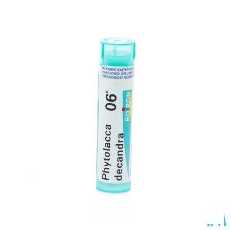 Phytolacca Decandra 6k Gr 4g  -  Boiron