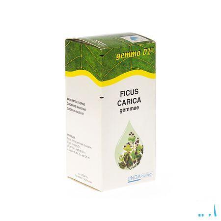 Ficus Carica Gemmo D1 125 ml  -  Boiron