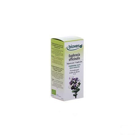 Ogentroost Teinture 50 ml   -  Ocebio