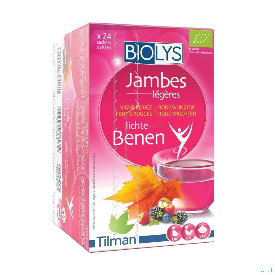 Biolys Rode Wijnstok Rode Vruchten Zakjes 24  -  Tilman