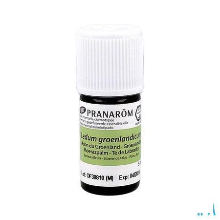 Ledon Groenland Bio Huile Essentielle 5 ml  -  Pranarom