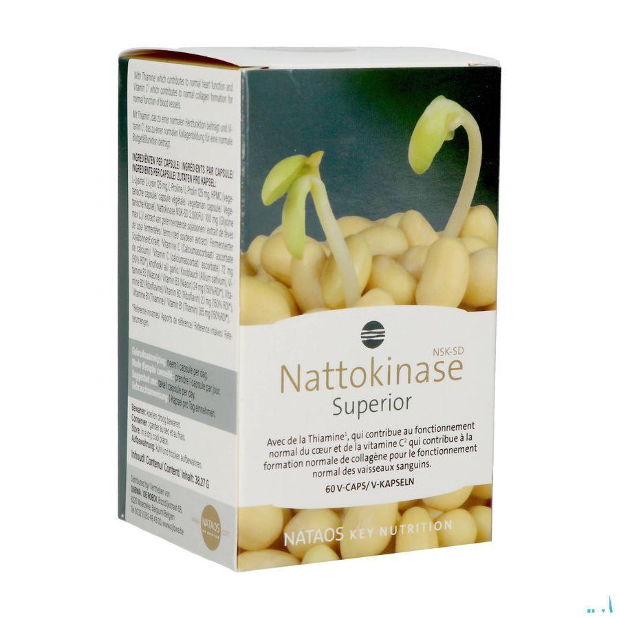 Nattokinase Nsk-Sd Caps 60X100 mg