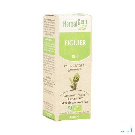 Herbalgem Vijgenboom Maceraat 15 ml  -  Herbalgem