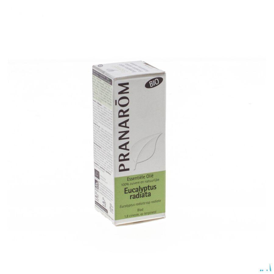 Eucalyptus Radie Bio Essentiele Olie 10 ml  -  Pranarom