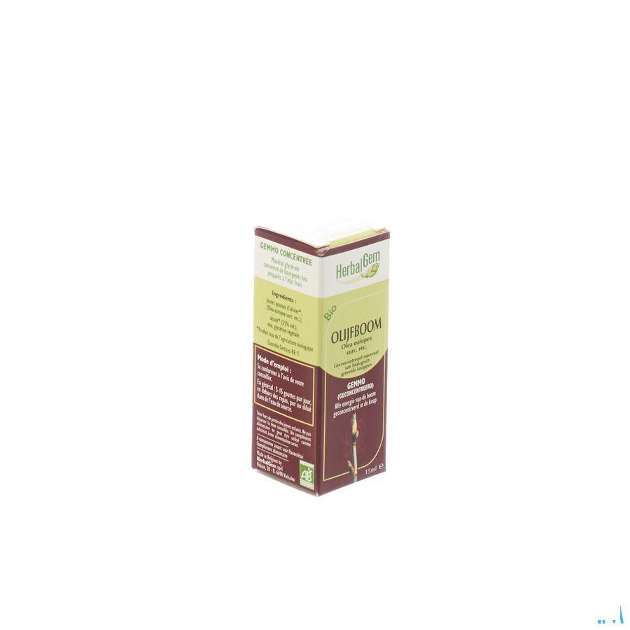 Herbalgem Olijfboom Maceraat 15 ml  -  Herbalgem