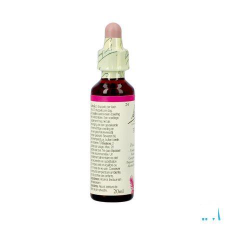 Bach Flower Remedie 29 Star Bethlehem 20 ml