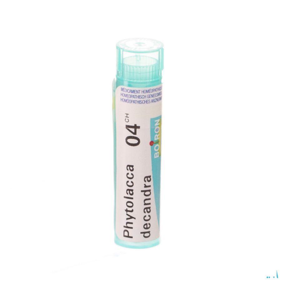 Phytolacca Decandra 4ch Gr 4g  -  Boiron
