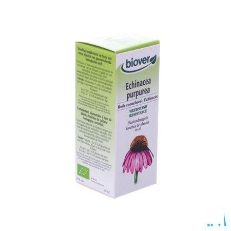 Rode Zonnehoed Teinture Bio 50 ml   -  Ocebio