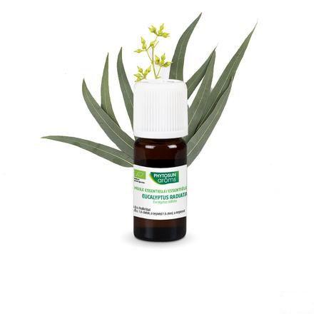 Phytosun Euc. Radiata Fr-bio-01 10 ml