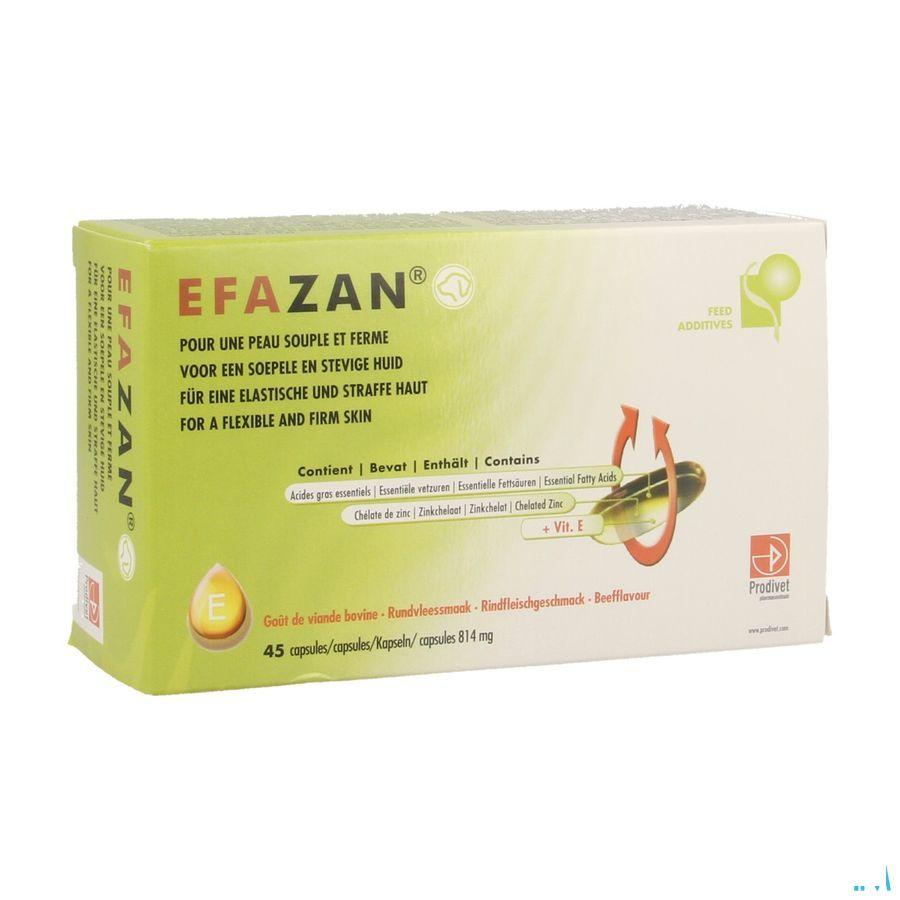Efazan Capsule 45