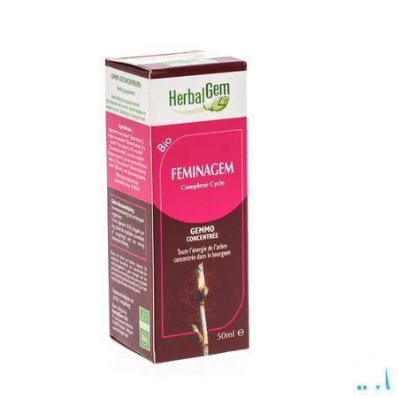 Herbalgem Feminagem Complexe Cycle Bio 50 ml  -  Herbalgem