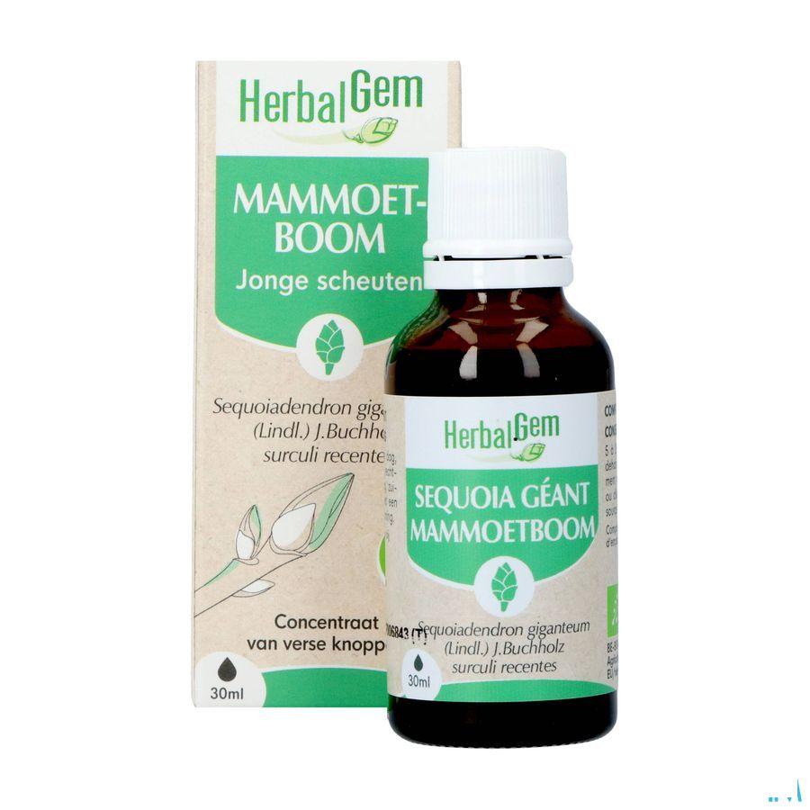 Herbalgem Sequoia Bio 30 ml