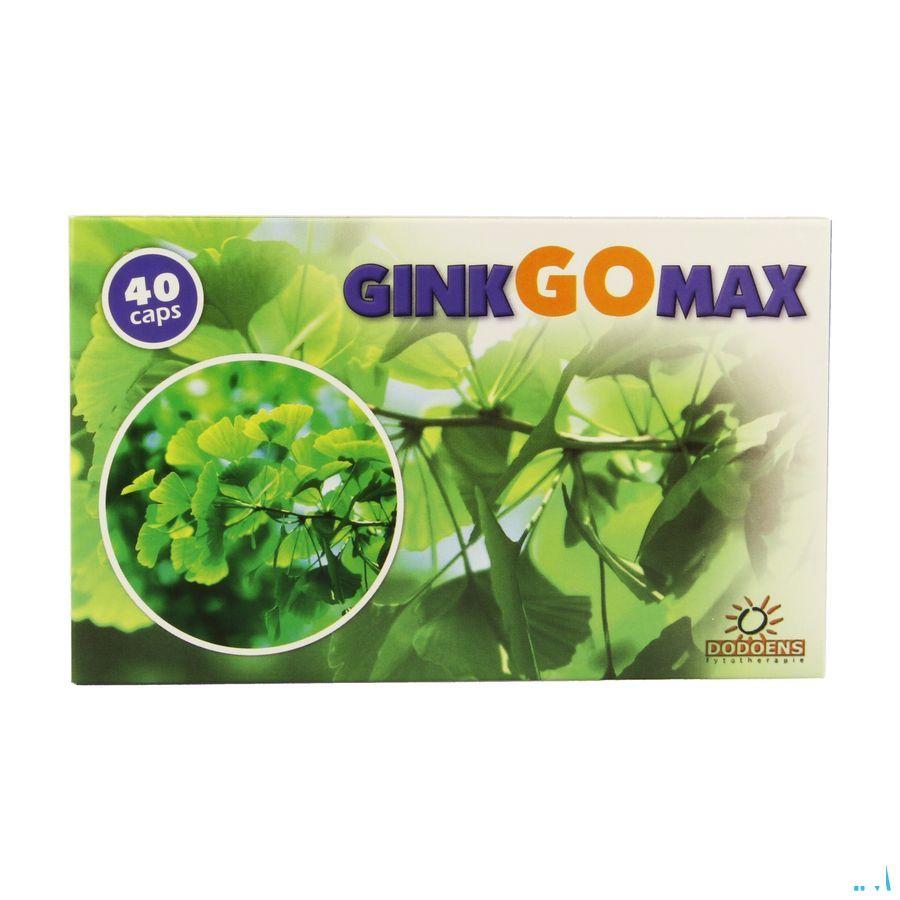 Ginkgomax Capsule 40