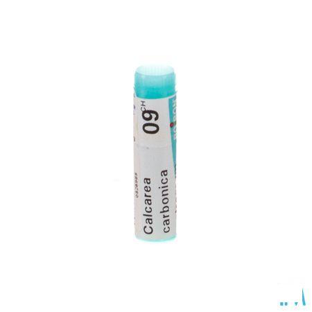 Calcarea Carbonica Ostrearum 9CH Gl  -  Boiron