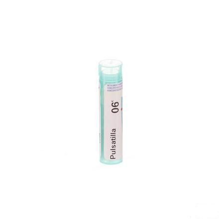 Pulsatilla 6k Gr 4g  -  Boiron