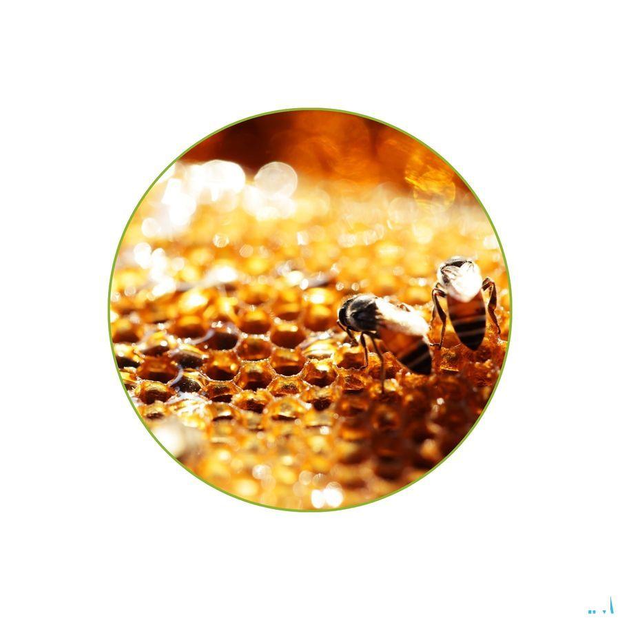 Propolis Glm Gouttes 100 ml