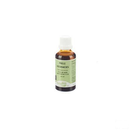 Herbalgem Heermoes Tm 50 ml  -  Herbalgem
