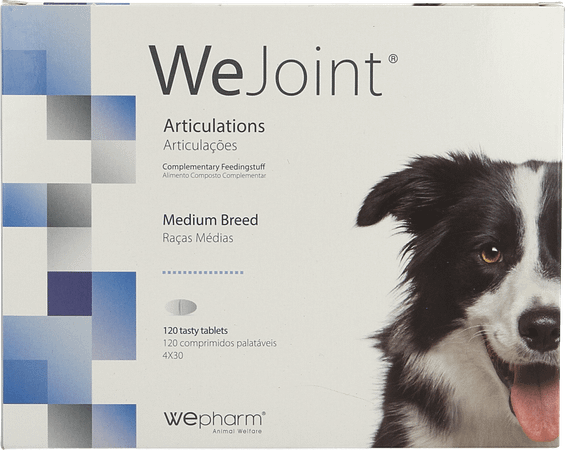 Wejoint Medium Breed Tabl 4X30