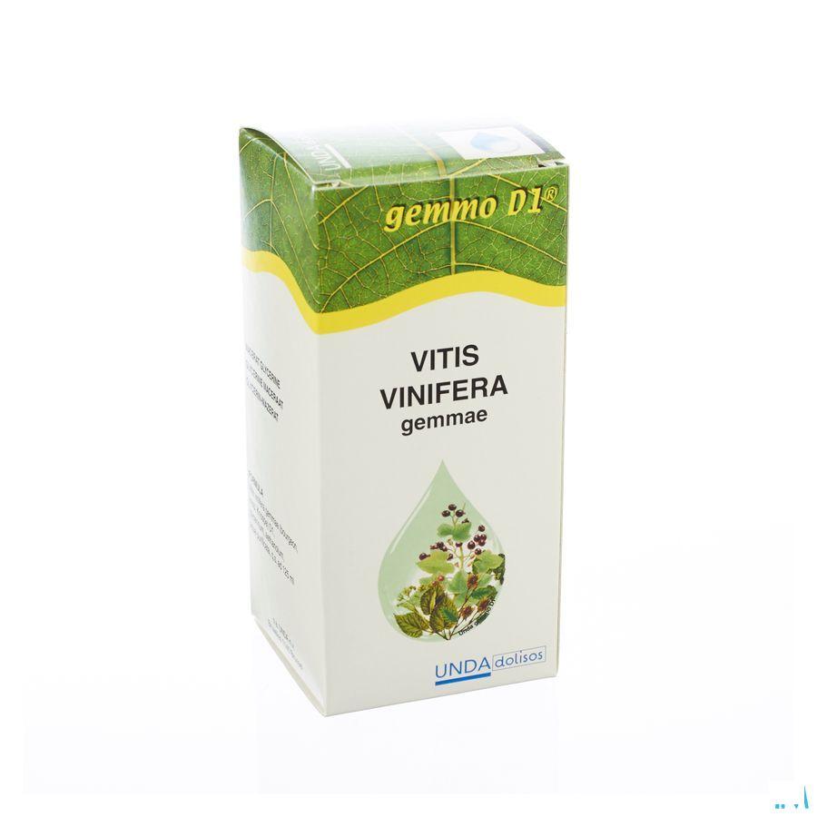 Vitis Vinifera Gemmo D1 125 ml  -  Boiron