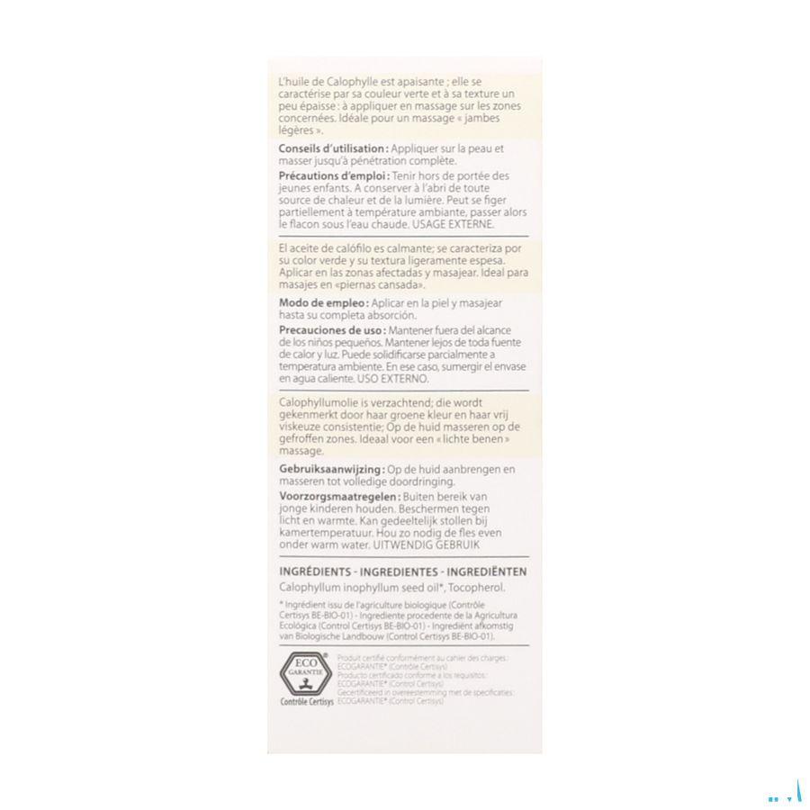 Calophylle Bio Huile Vegetale 50 ml  -  Pranarom
