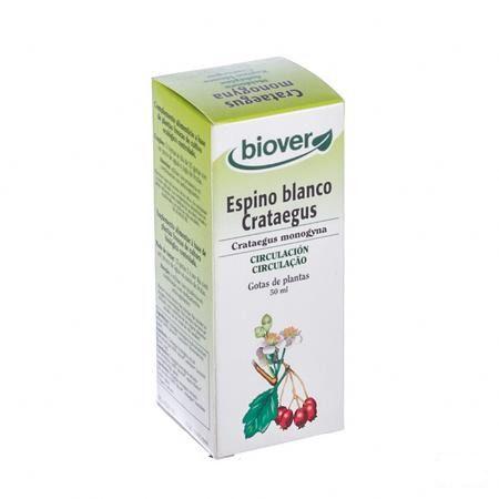 Biokruideninfusie Circulatie Zakje 20  -  Biover