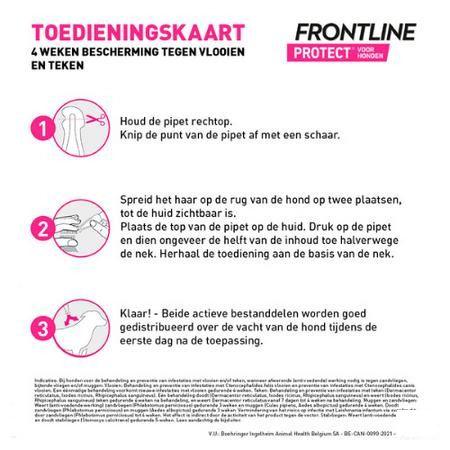 Frontline Protect Spot On Opl Hond 20-40Kg Pipet 3