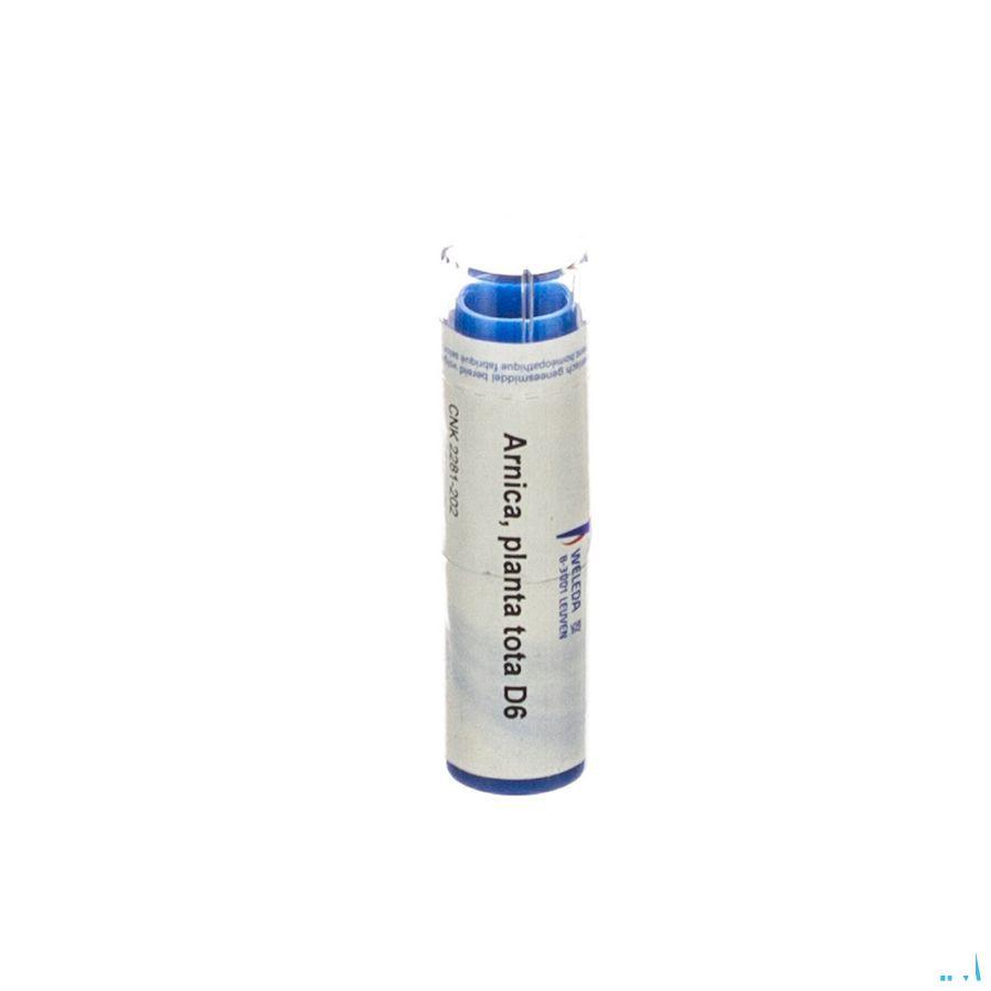 Arnica Planta Tota D6 Gr 4g  -  Weleda