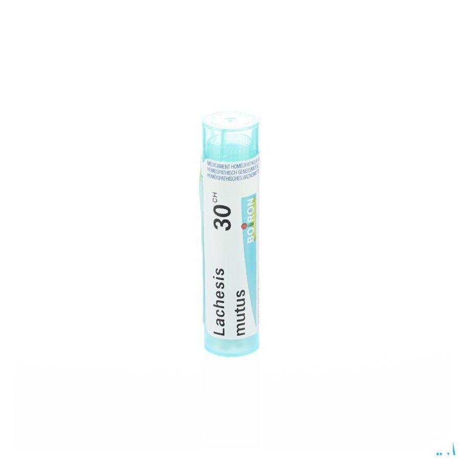Lachesis Mutus 30CH Gr 4g  -  Boiron