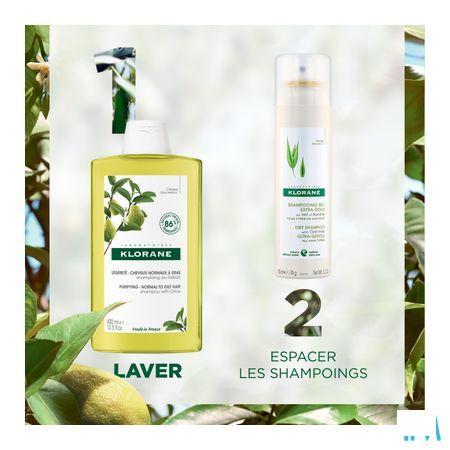 Klorane Capilaire Shampoo Cederappel 200 ml