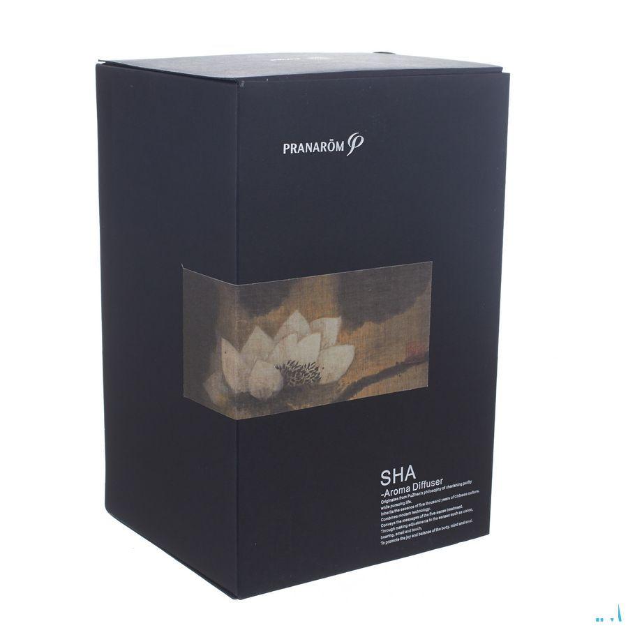 Diffuseur Sha Petit Modele  -  Pranarom