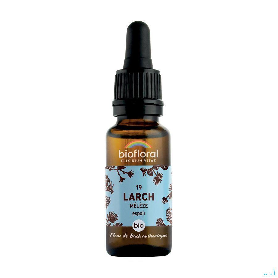 Fleurs De Bach 19 Larch Meleze Bio 20 ml Demeter  -  Pranarom