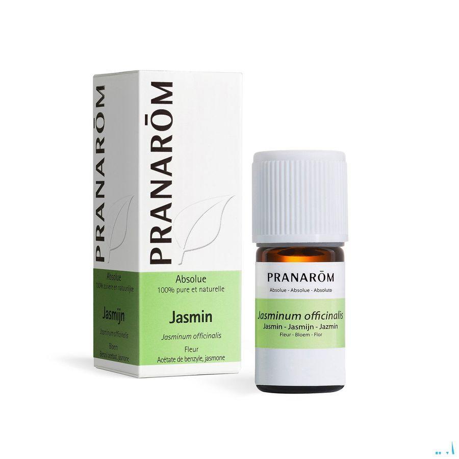 Jasmin Absolue Huile Essentielle 5 ml  -  Pranarom