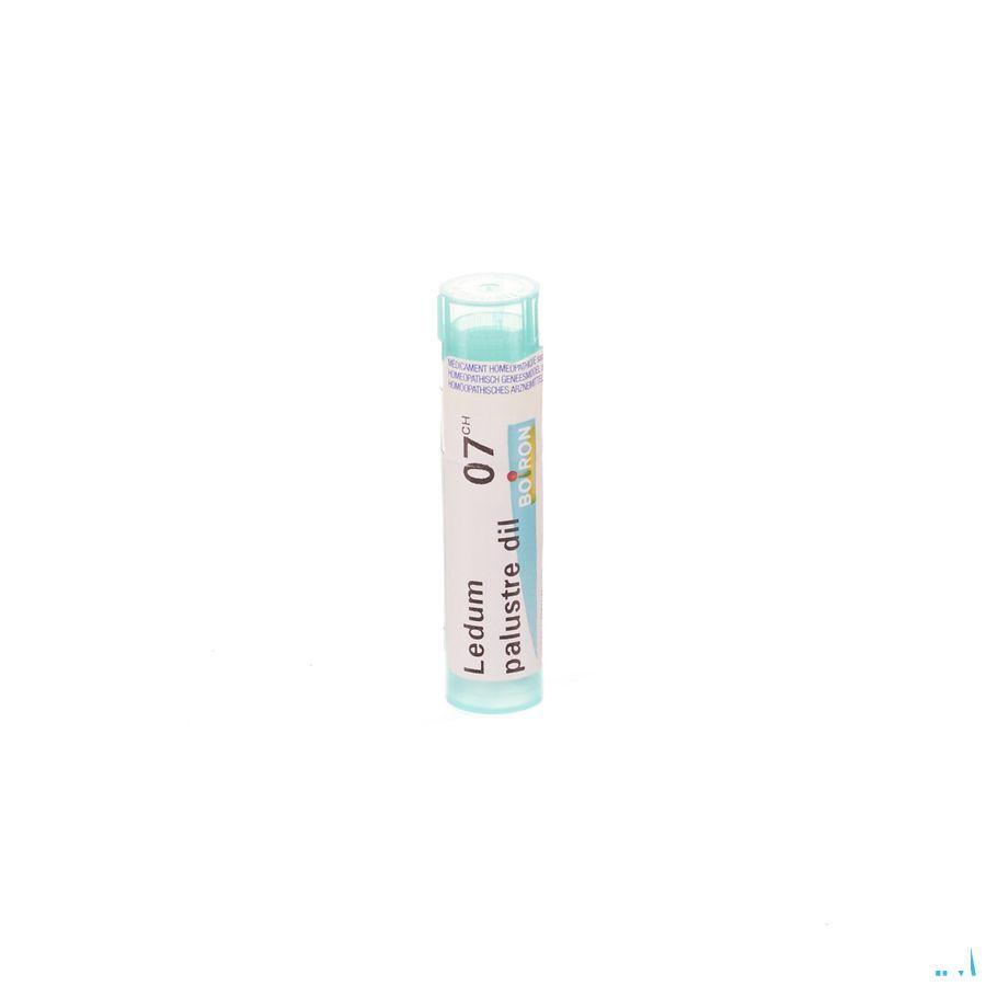 Ledum Palustre 7CH Gr 4g  -  Boiron