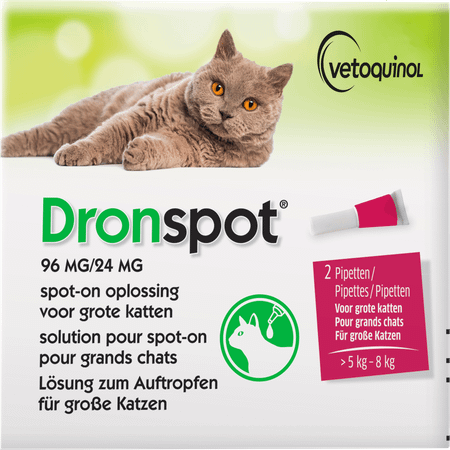 Dronspot 96 mg/24 mg Spot-On Kat Groot >5-8Kg Pip 2