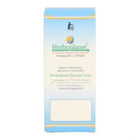 Quercus Peduncolata Msa Maceraat Druppels 50 ml  -  Herboplanet