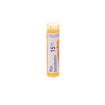 Rhus Toxicodendron 15CH Gr 4g  -  Boiron
