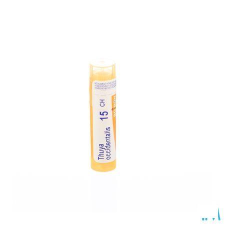 Thuya Occidentalis 15CH Gr 4g  -  Boiron