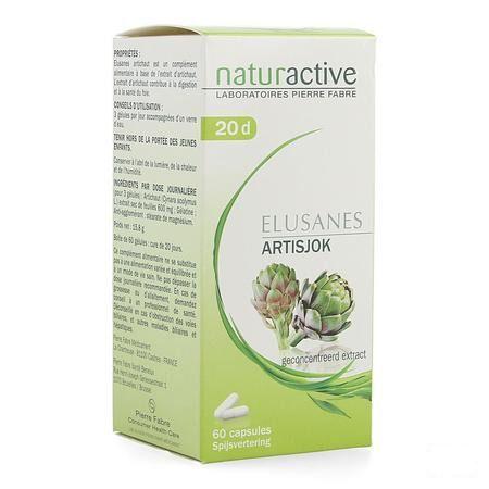 Elusanes Artisjok Pot Gel 60 Nf