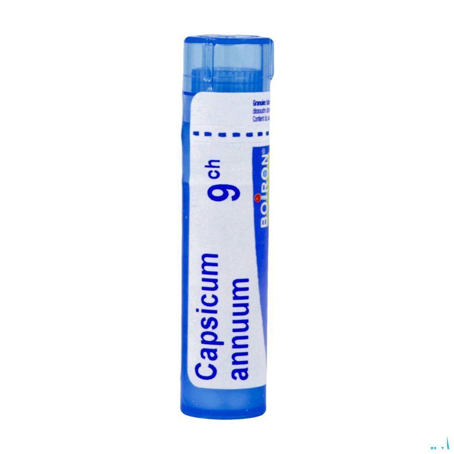 Capsuleicum Annuum 9CH Gr 4g  -  Boiron