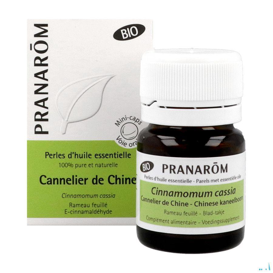 Aromaperles Cannelle Chine Bio Flacon Capsule 60  -  Pranarom