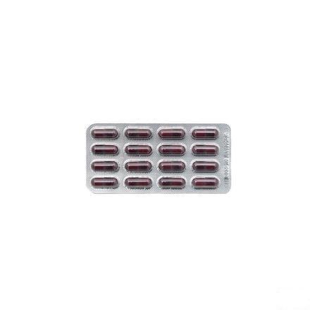 Ymea Silhouette Capsule 128 Be V2