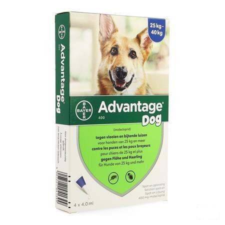 Advantage 400 Honden 25