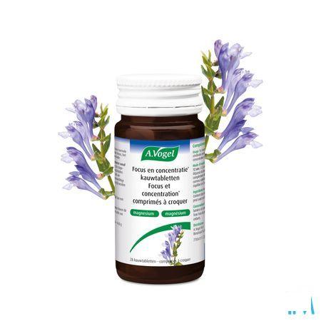 A.Vogel Focus  &  Concentratie Kauwtabl 28